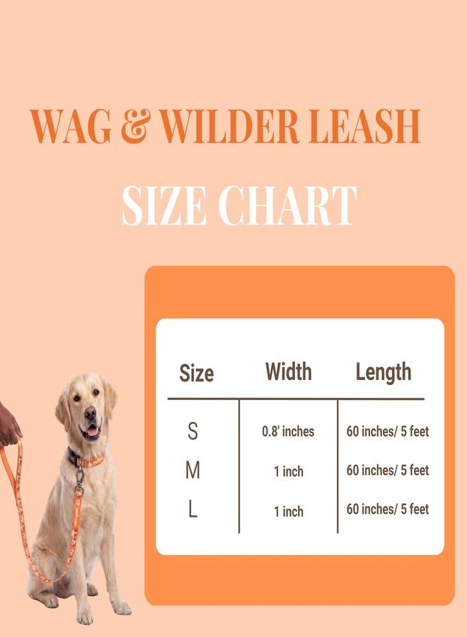 Wag & Wilder Wag and Wilder 5 FT Dog Leash for Small Dogs – Heavy Duty Lead for Training & Walking, Strong Metal Hook (Puppy Parade- Orange, Small) - Image 5