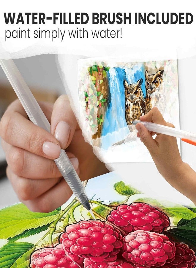 QUOKKA Dementia Activities for Seniors - Water Painting Alzheimers Products for Elderly - Reusable Activity Kits for Dementia Patients - Forest Moments Relaxing Set - Image 2