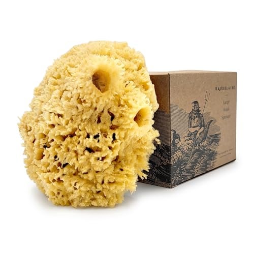 Baudelaire Sea Wool Sponge by Baudelaire 55 Natural Sea Sponges for Bathing Bath Sea Sponge for Shower Natural Sea Sponge Loofah Durable Sustainable EnvironmentFriendly Natural Sponges for Body - Image 2