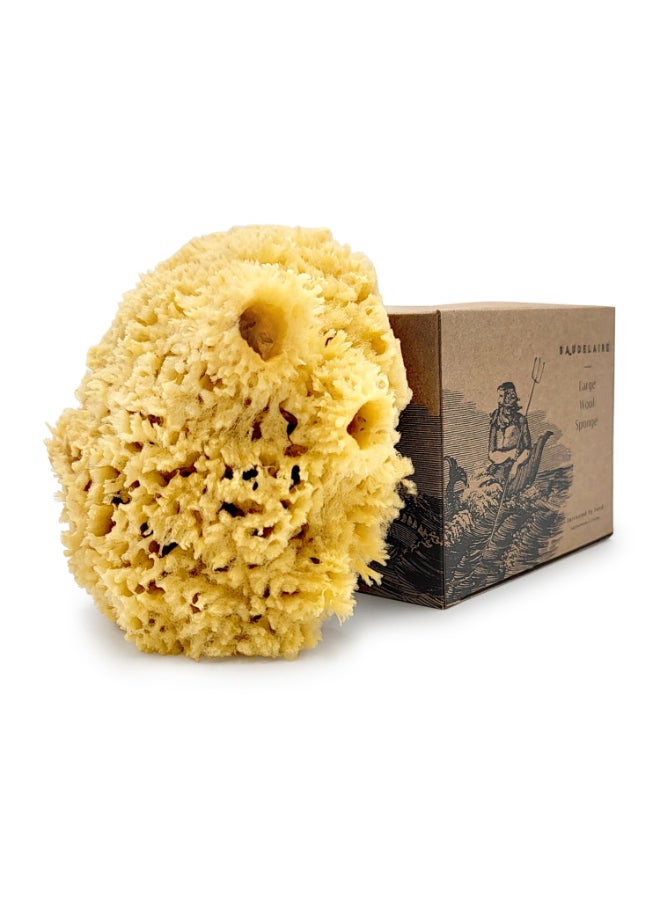 Baudelaire Sea Wool Sponge by Baudelaire 55 Natural Sea Sponges for Bathing Bath Sea Sponge for Shower Natural Sea Sponge Loofah Durable Sustainable EnvironmentFriendly Natural Sponges for Body - Image 3