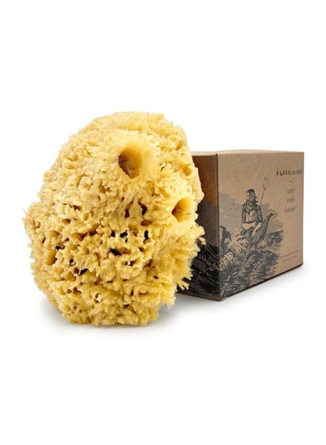 Baudelaire Sea Wool Sponge by Baudelaire 55 Natural Sea Sponges for Bathing Bath Sea Sponge for Shower Natural Sea Sponge Loofah Durable Sustainable EnvironmentFriendly Natural Sponges for Body - Image 1