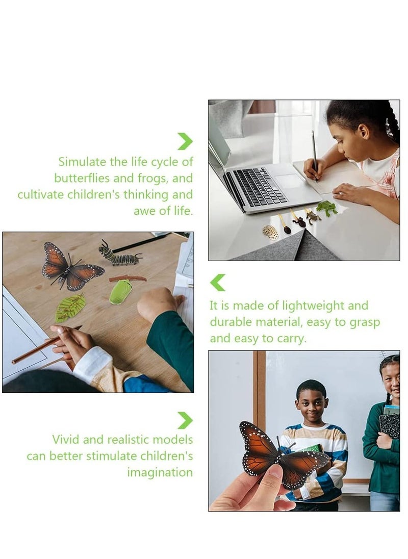 Excefore - Insect Life Cycle Figures 2 Sets Life Cycle Figurines of a Monarch Butterfly and a Frog Realistic Education Insects Life Stages Figures Insect Growth Cycle Model Toy Preschool Cognition Playset - Image 1