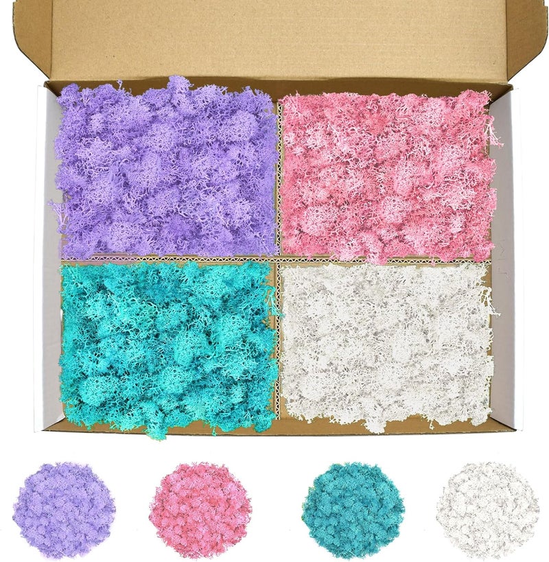 TCYPUHL 4 Colors 14 OZ Reindeer Moss, Preserved Moss for Plants, Moss Decor, Green Moss for Crafts(White, Blue, Little Purple and Pink, Each Color Weights 3.5 OZ) - Image 1