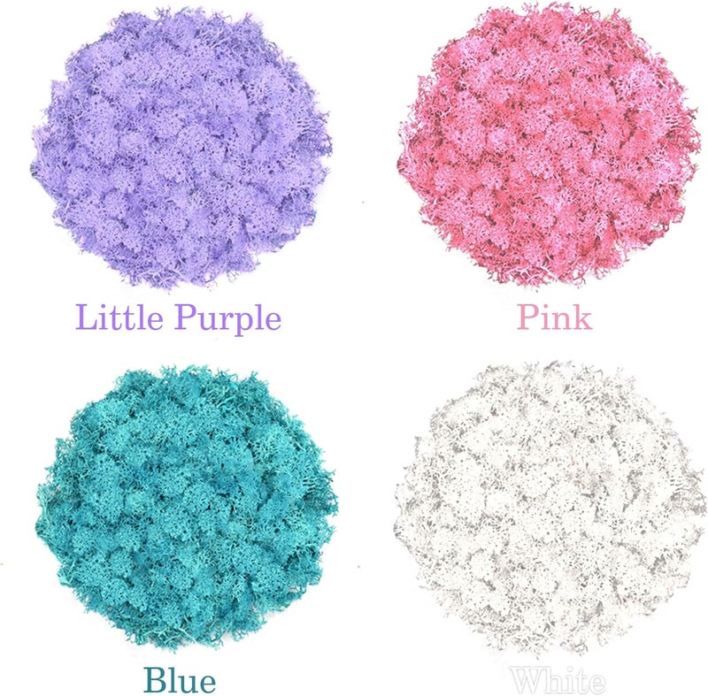 TCYPUHL 4 Colors 14 OZ Reindeer Moss, Preserved Moss for Plants, Moss Decor, Green Moss for Crafts(White, Blue, Little Purple and Pink, Each Color Weights 3.5 OZ) - Image 2