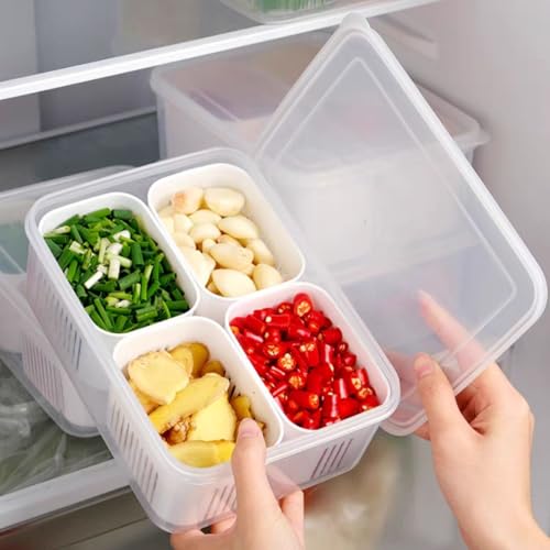 hago Refrigerator Organizer Container with 4 Grid Compartments | 1200 ML Fridge Storage Box for Vegetables & Fruits | BPA-Free Kitchen Storage Container for Fridge Organisation. - Image 1