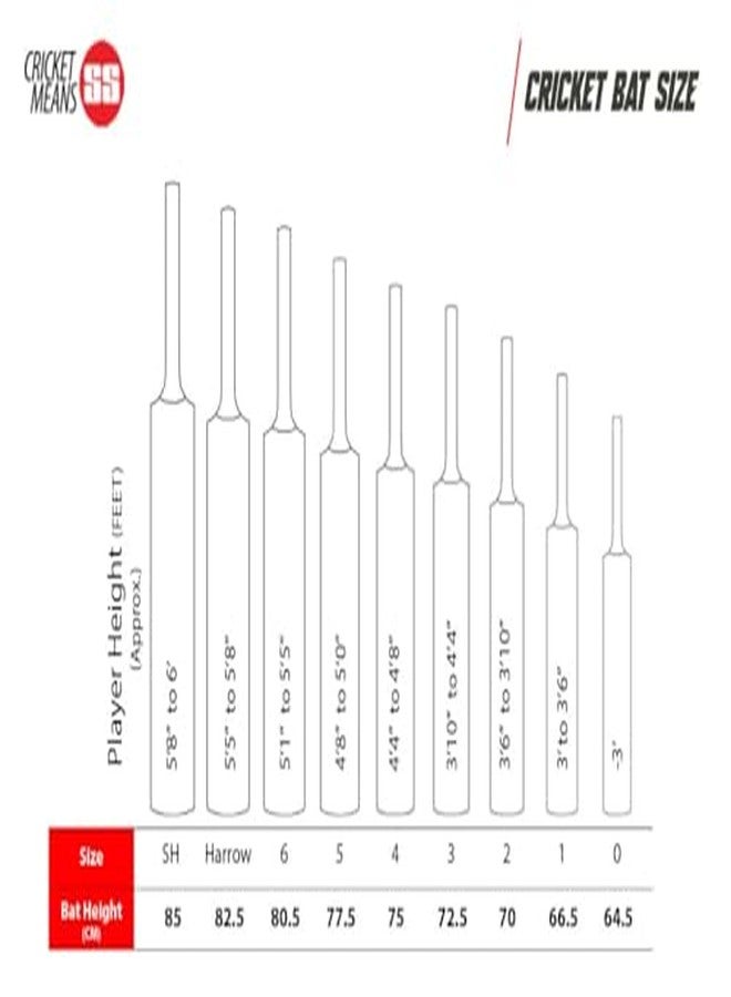 SS Ton max power kw bat Grade 3 Kashmir Willow Cricket Bat ( Size: Short Handle,Leather Ball ) - Image 3