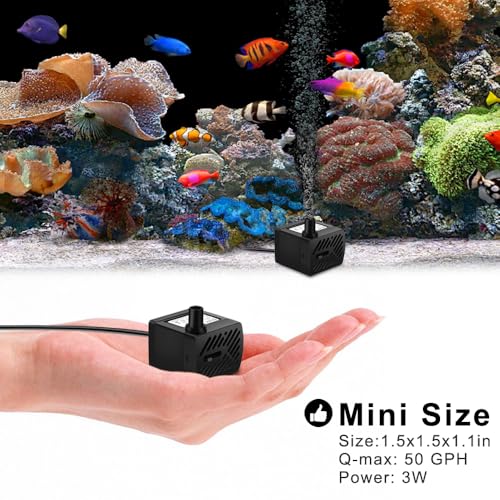 PULACO 2Pcs Mini Fountain Pump (50GPH 3W), Ultra Quiet Submersible Water Pump for Aquarium, Small Fish Tank, Pet Water Fountain, Tabletop Fountains, Water gardens and Hydroponic Systems - Image 4