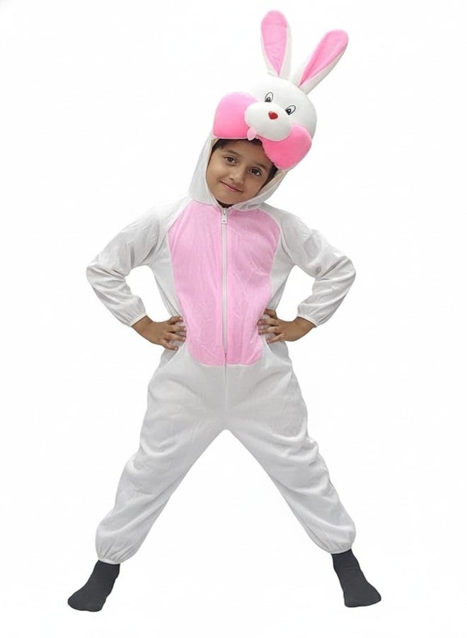 TWINKLE TOTS Rabbit Costume For Kids/School Function/Fancy Costume/Compititions - Image 1