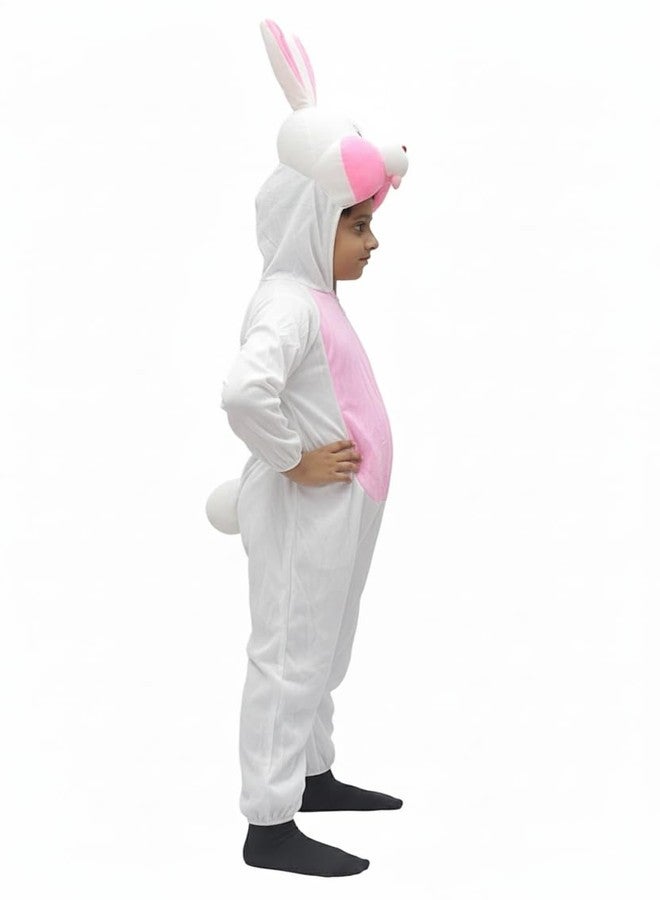 TWINKLE TOTS Rabbit Costume For Kids/School Function/Fancy Costume/Compititions - Image 2