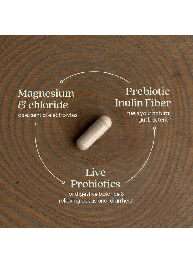 New Chapter All-Flora Probiotic Flora Fortify, Ultra-Concentrated Probiotics for Digestive Health, Survives Antibiotic Use, with Electrolytes + Inulin Prebiotic Fiber, 100% Vegan, 14-Day Supply - Image 3