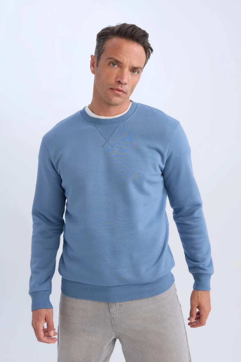 ديفاكتو Regular Fit Crew Neck Basic Thick Sweatshirt
