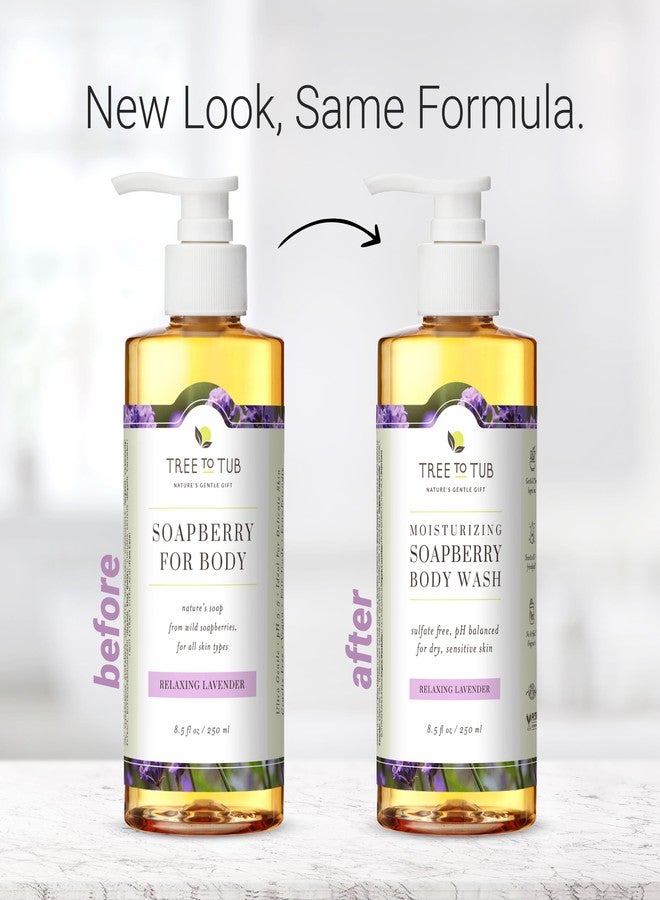 Tree to Tub Lavender Body Wash for Sensitive Skin & Dry Skin - pH Balanced Moisturizing Body Wash, Hydrating Sulfate Free Vegan Body Soap for Women & Men w/Organic Shea Butter, All Natural Aloe Vera - Image 4