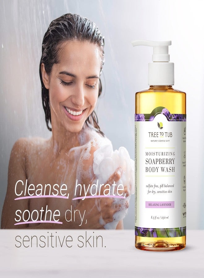 Tree to Tub Lavender Body Wash for Sensitive Skin & Dry Skin - pH Balanced Moisturizing Body Wash, Hydrating Sulfate Free Vegan Body Soap for Women & Men w/Organic Shea Butter, All Natural Aloe Vera - Image 2
