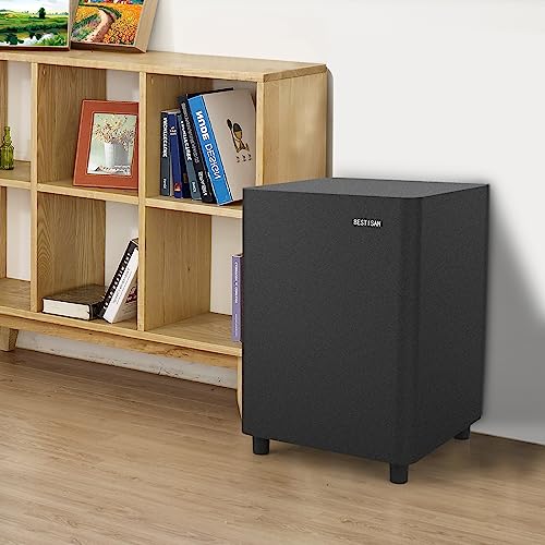 BESTISAN 6.5’’ Subwoofer, Powered Home Audio Sub woofer with Deep Bass in Compact Design, for Studio and Home Theater, Black,SW65C - Image 4