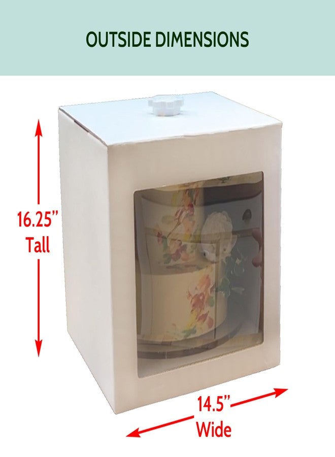 CAKESAFE حامل كيك كرتوني من CAKESAFE LITE، مقاس 14 بوصة × 14 بوصة × 13 بوصة - Image 5