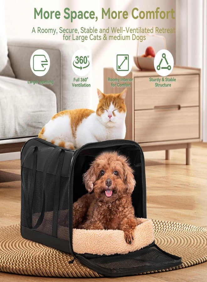 بتس فيت حقيبة نقل الحيوانات الأليفة Petsfit مقاس 19×12×12 بوصة للقطط الكبيرة (حتى 20 رطلاً)، حقيبة سفر ناعمة الجوانب للكلاب الصغيرة، مُحسّنة بإبزيم حاصل على براءة اختراع وبطانة ناعمة، مثالية لرحلات السيارات، أسود - Image 5
