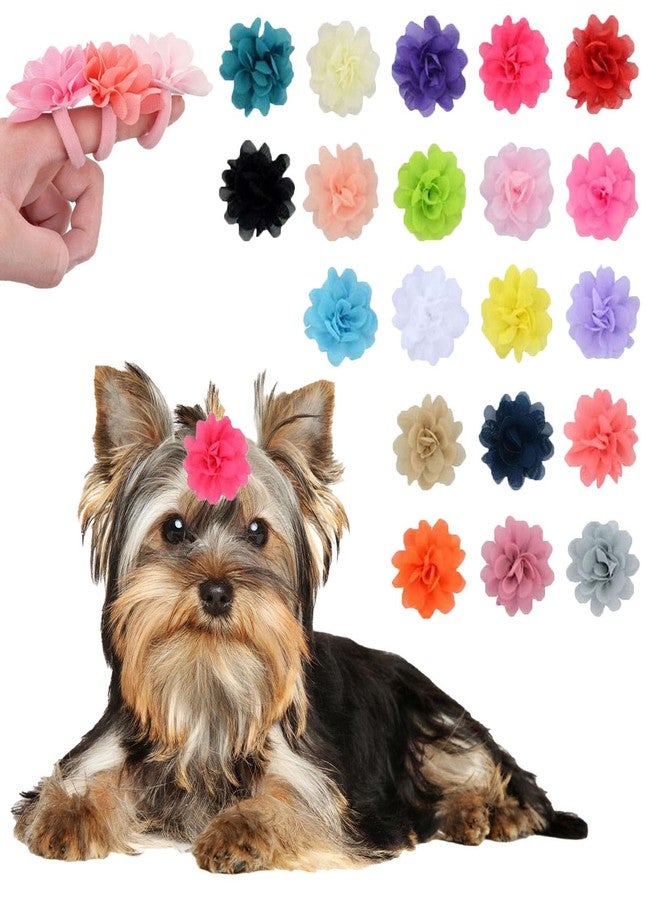 NUOSYI 20PCS Flower Bows Rubber Bands for Cat Dogs Puppy Birds Ducks Horse Chicken Pets Hair Ties Outdoor Party Girls Women Birthday Grooming Hair Accessories(Mixed, One Size) - Image 1