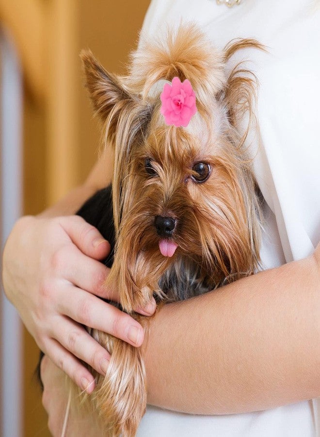 NUOSYI 20PCS Flower Bows Rubber Bands for Cat Dogs Puppy Birds Ducks Horse Chicken Pets Hair Ties Outdoor Party Girls Women Birthday Grooming Hair Accessories(Mixed, One Size) - Image 5