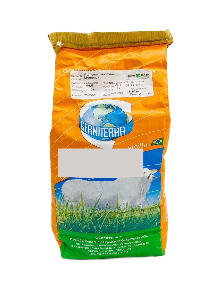general Germiterra Bonicam Mombasa F1 Quality Seeds Made in Brazil/Panicum bembasa seeds Tanzania Grass/Suitable for UAE Climate 1kg - Image 1