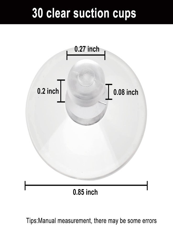 AccEncyc 30 Small Suction Cups 20mm/0.8in Mini Suction Cups for Window Decor, Fairy Light, Toys and Mounting Small Items to Windows, Windshield, Table Top and Furniture - Image 2