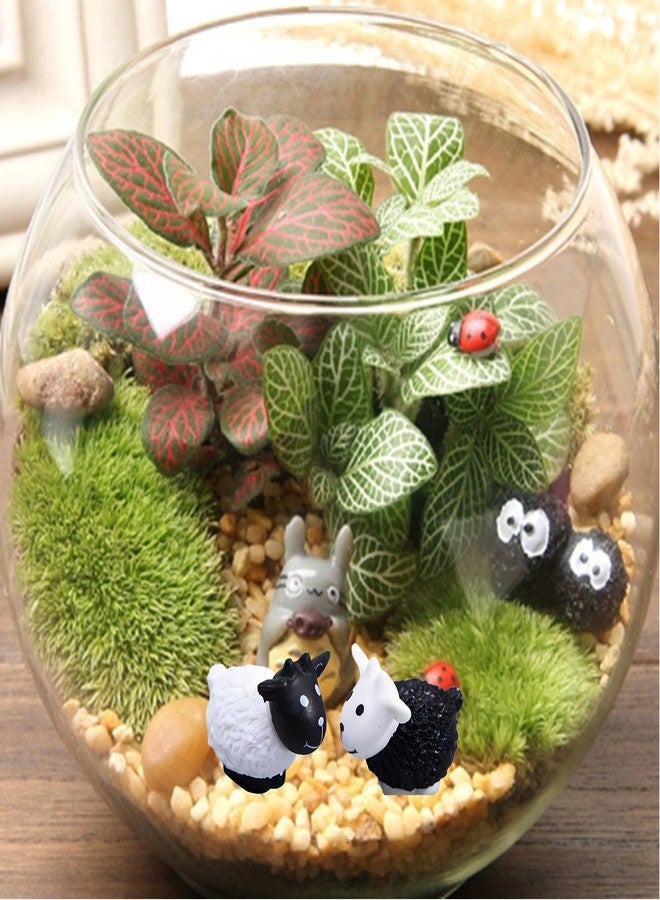 Haohaiblooms Miniature Sheep Figurines 2pcs Set - Fairy Garden Accessories for DIY Terrarium Crafts, Moss Landscape Decoration, Micro Landscape Ornaments, Cake Toppers, Desk & Car Decor, Dollhouse Garden Decor - Image 3