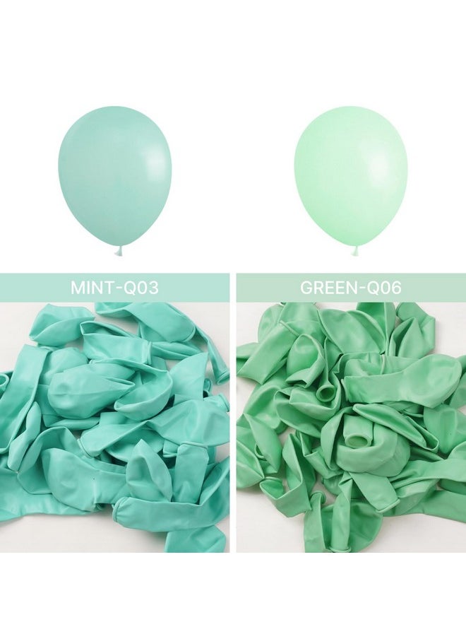 PartyWoo Mint Green Balloons, 100 Pcs Mint Balloons Different Sizes Pack Of 36 Inch 18 Inch 12 Inch 10 Inch 5 Inch Mint Balloons For Balloon Garland Or Balloon Arch As Party Decorations, Green-Q06  - Image 4