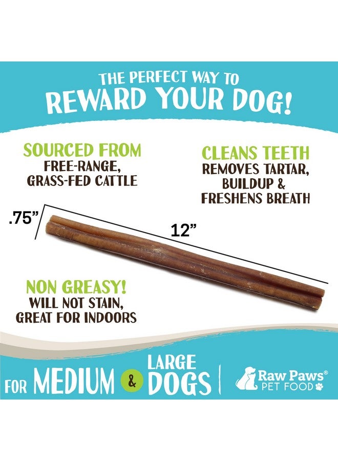 Raw Paws Jumbo Bully Sticks, 12" (5 Pack) - Extra Thick for Medium to Large Breeds - No Added Hormones, Free Range Cows - Pizzle Sticks for Dogs - Long Lasting Chews for Aggressive Chewers - Image 3