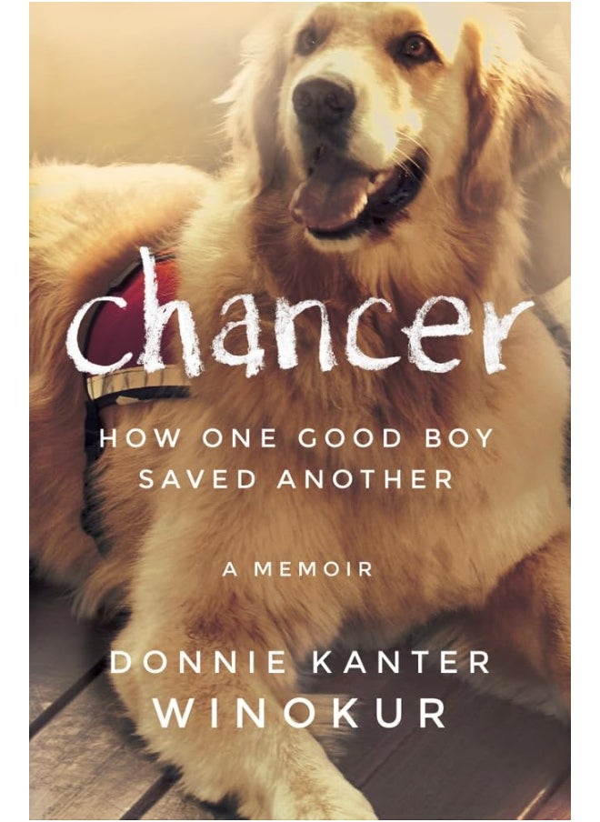 Chancer: How One Good Boy Saved Another  - Image 1