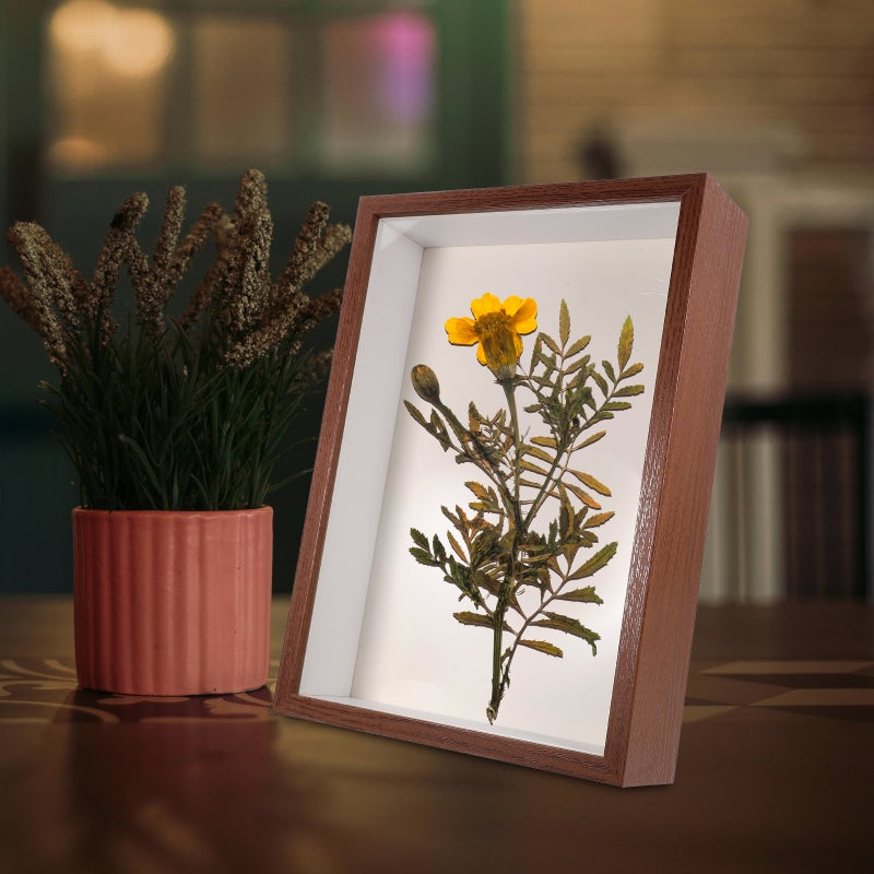 🌱 إطار زهور مجففة لتزيين المنزل تصميم متين مناسب للاستخدام على المكتب - Image 5
