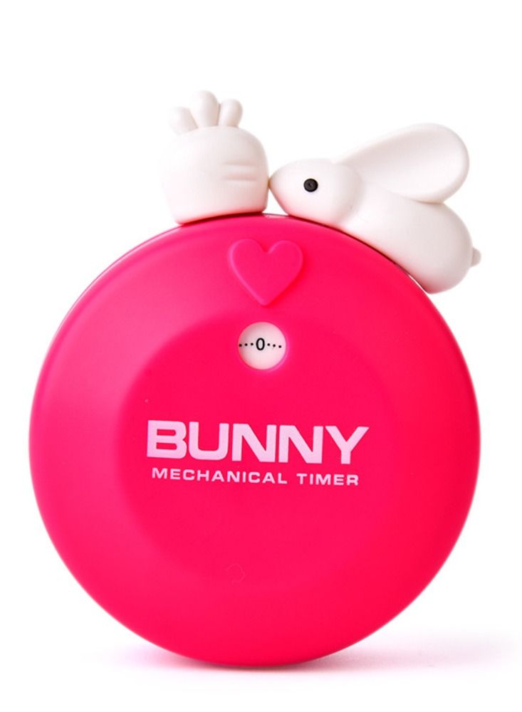 Lovely Timer Mechanical Manual Timer Timepiece Countdown Tool Cartoon Kitchen Timer