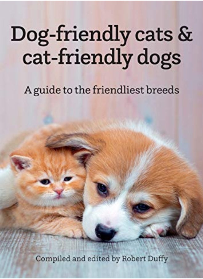 Dog-friendly cats & cat-friendly dogs 