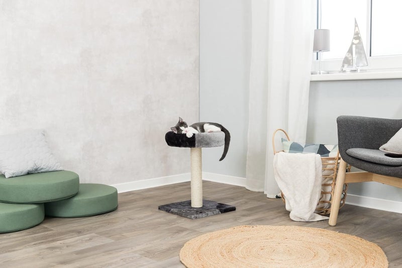 Trixie Tarifa Cat Scratching Post 20.5 Inch - Cat Scratcher with Soft Fabric Covering Base and Durable Sisal Rope - with Padded Platform - in Gray/Black - Image 2