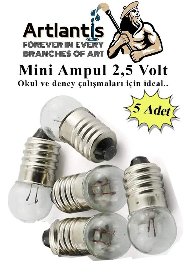 Artlantis Mini Bulb 2.5 Volt 5 Pieces 1 Pack Small Electrical Experiment Bulb 2.5 V School Class Electrical Circuit Experiment Bulb  - Image 1