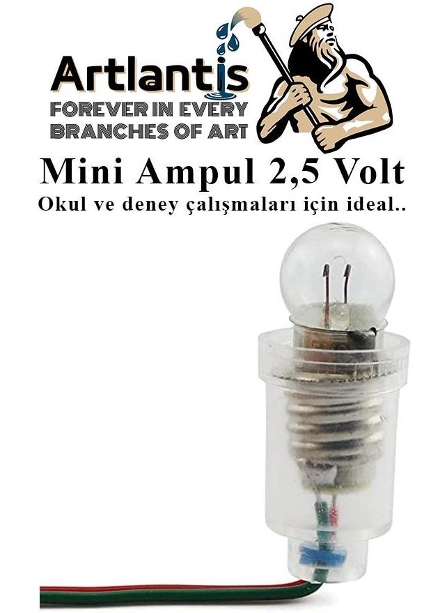 Artlantis Mini Bulb 2.5 Volt 5 Pieces 1 Pack Small Electrical Experiment Bulb 2.5 V School Class Electrical Circuit Experiment Bulb  - Image 4