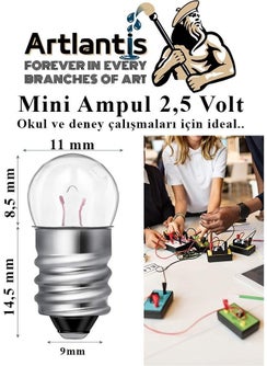 Artlantis Mini Bulb 2.5 Volt 5 Pieces 1 Pack Small Electrical Experiment Bulb 2.5 V School Class Electrical Circuit Experiment Bulb  - Image 5