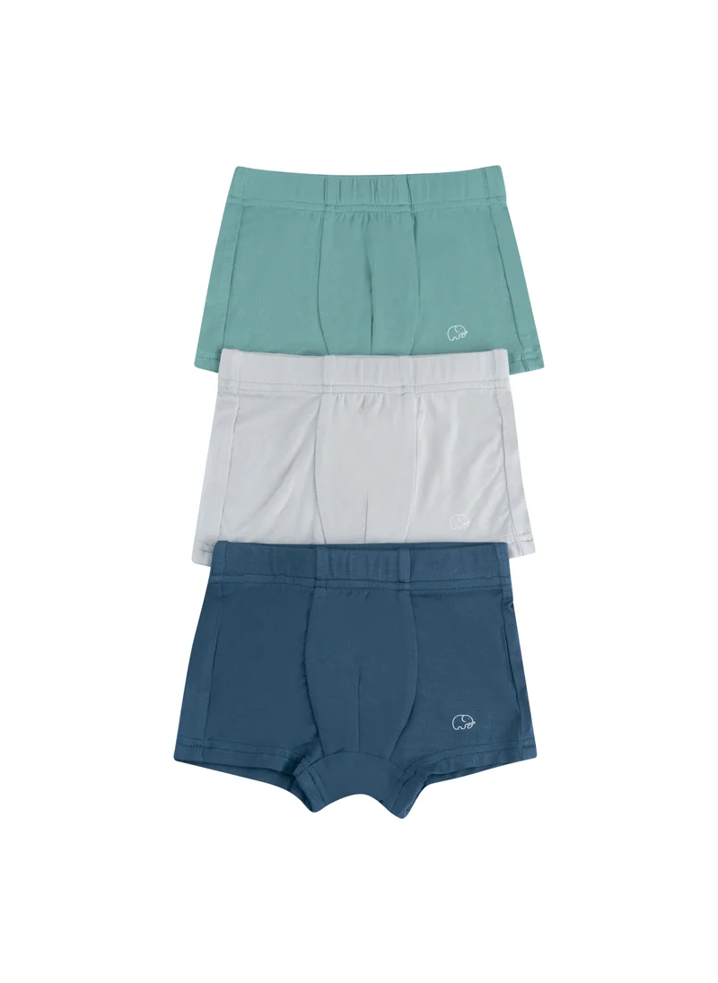 Anvi Baby Organic Bamboo Boxer Brief Underwear Set Of 3- Green/Grey/Navy 5/6