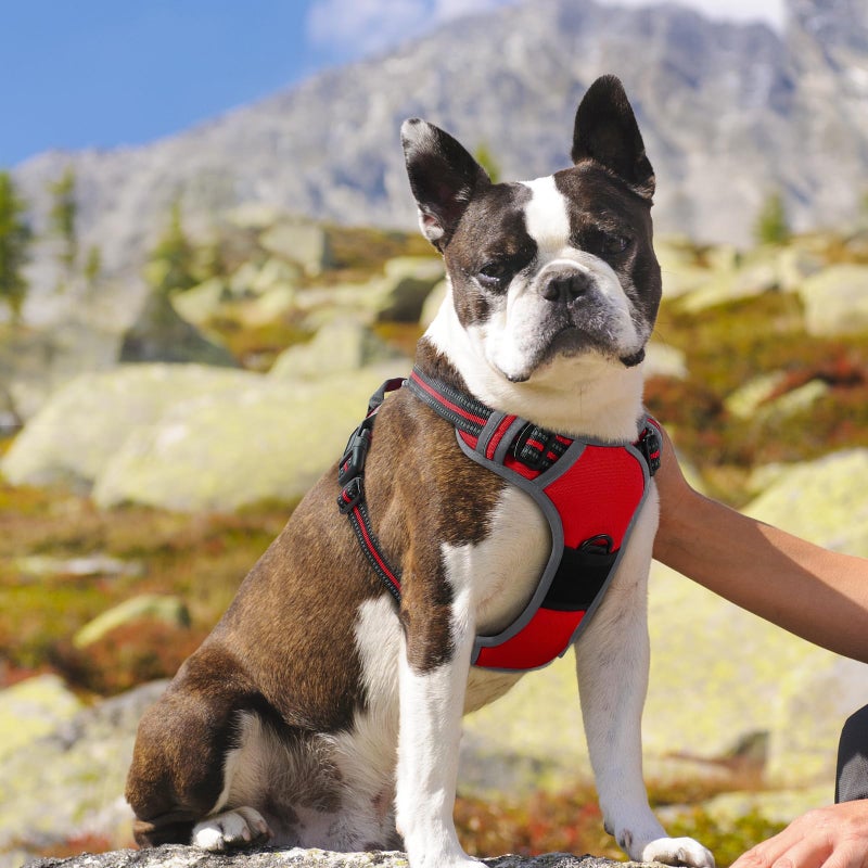 Eagloo Dog Harness Medium Sized Dog, No Pull Service Vest with Reflective Strips and Control Handle, Adjustable and Comfortable for Easy Walking, No Choke Pet Harness with 2 Metal Rings, Red, M - Image 2