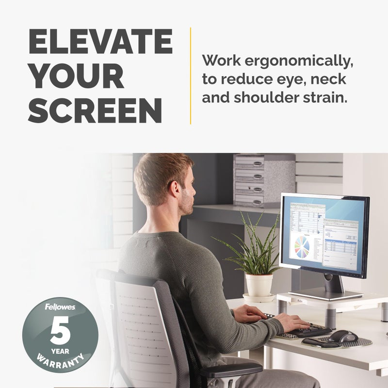 Fellowes Standard Monitor Riser (91712), Platinum/Graphite - Image 2