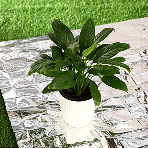 Maitys 4 Pcs Emergency Blankets High Silver Reflective Foil Sheet Heat Foil Protection Rescue Camping Blanket Hiking Space and Garden Greenhouse Covering Plant Growth Sheet - Image 3