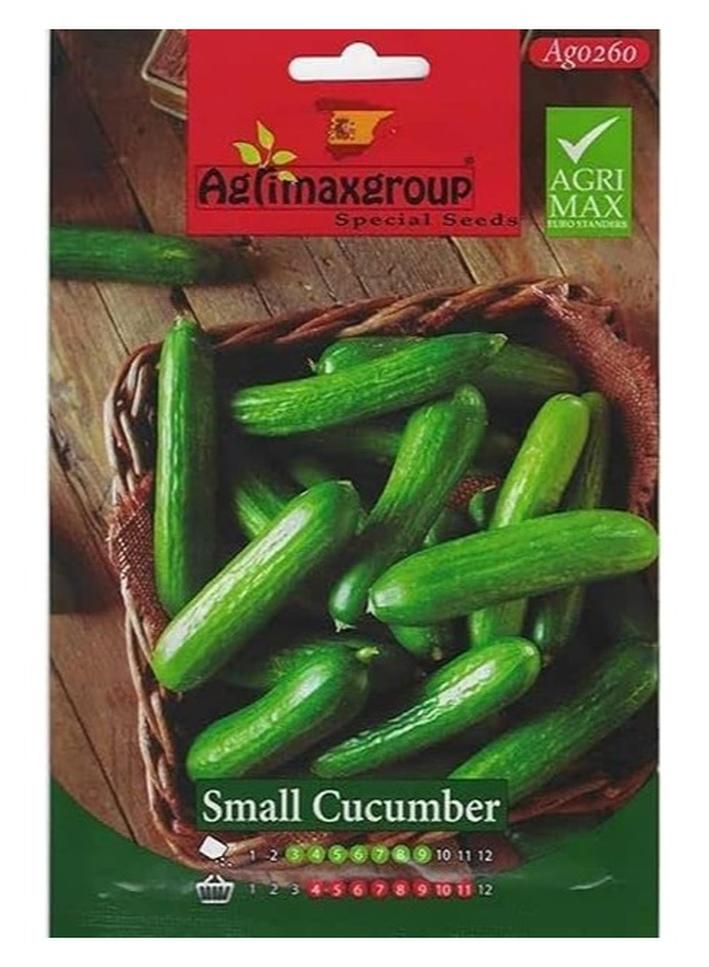 Agrimaxgroup Offers Premium Quality Seeds for Small Cucumbers Designed to Deliver High Yields and Excellent Fruit Quality These Seeds are Ideal for Gardeners and Farmers Looking to Cultivate Crisp Flavorful Cucumbers in Various Growing Conditions. - Image 1