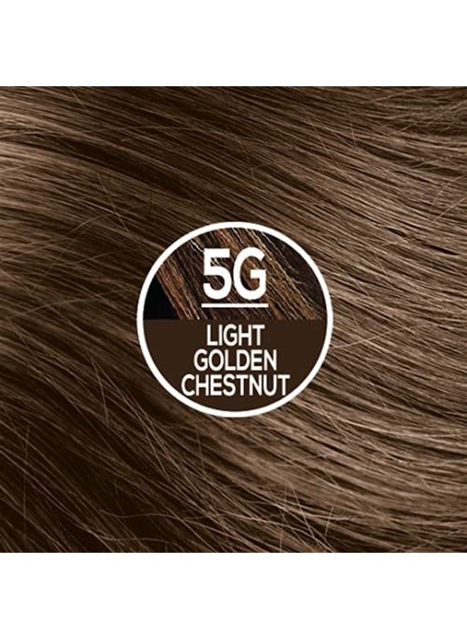 NATURTINT Permanent Hair Color 5G Light Golden Chestnut (Pack of 6), Ammonia Free, Vegan, Cruelty Free, up to 100% Gray Coverage, Long Lasting Results  - Image 2