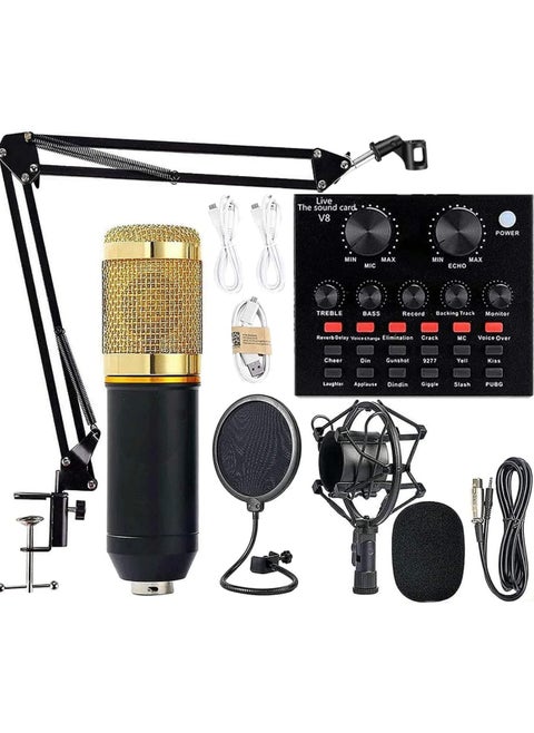 Professional Condenser Microphone and V8 Sound Card, Voice Changer - Audio Interface 12 kinds of electric sound, 8 kinds of sound effects, 6 kinds of effect modes -Perfect for Recording, Singing, Streaming and Gaming (V8-Black)