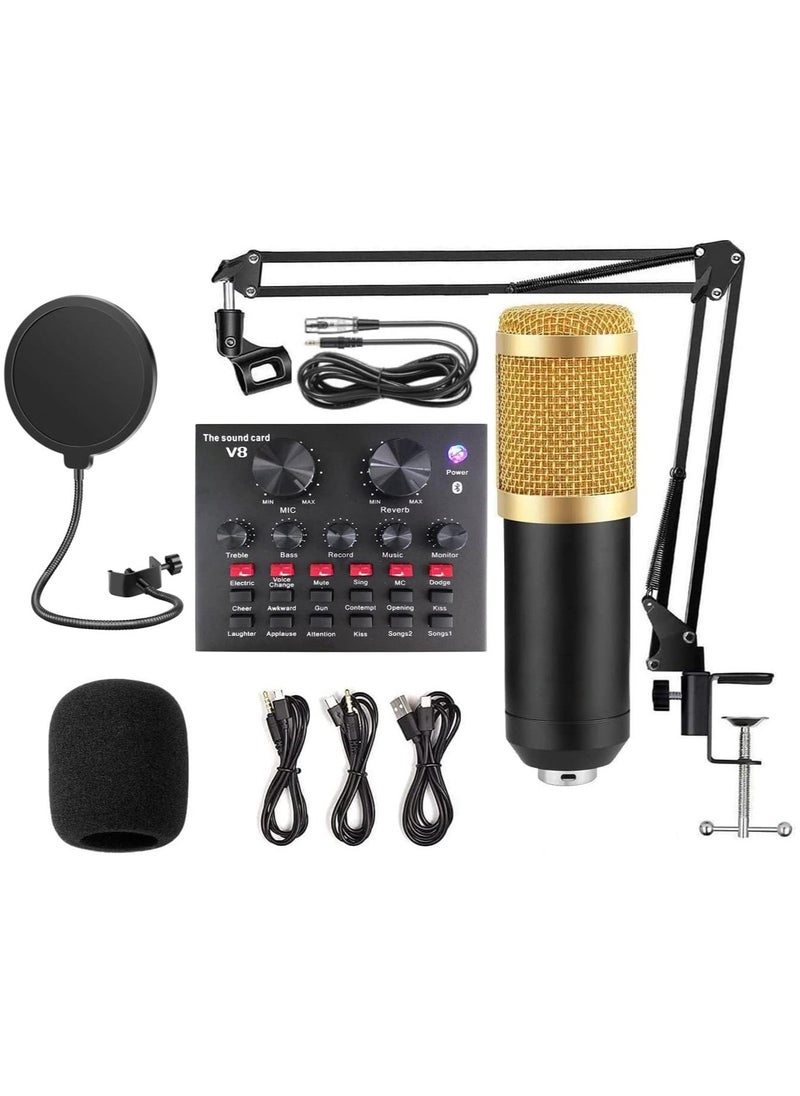 Festive Gallery - Professional Condenser Microphone and V8 Sound Card, Voice Changer - Audio Interface 12 kinds of electric sound, 8 kinds of sound effects, 6 kinds of effect modes -Perfect for Recording, Singing, Streaming and Gaming (V8-Black) - Image 1