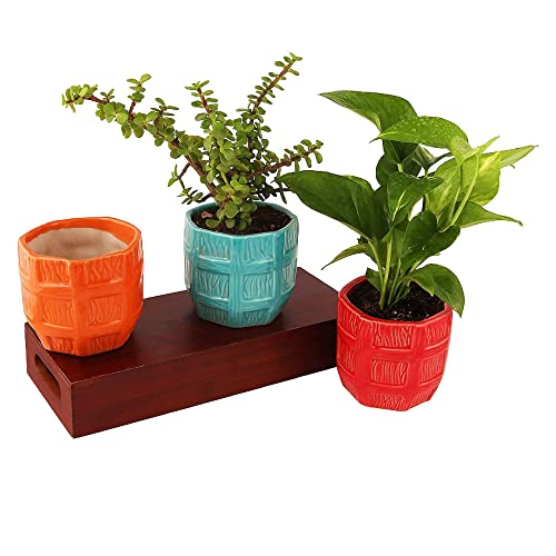 Leafy Tales Barrel Ceramic Pot Planter, Home Garden Decor 1pc (Barrel Aqua) - Image 5