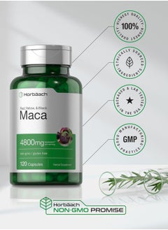 Horbäach Organic Maca Root Extract 4800 mg - 120 Capsules  - Image 4