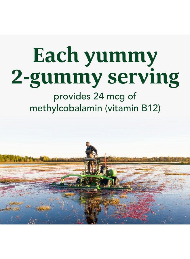 MegaFood Vitamin B12 Energy Gummies - Vegan - With Methyl B12 Vitamins to Support Cellular Energy Production - Cranberry - Daily Vitamin B12 Supplement - USDA Organic - 70 Gummies, 35 Servings - Image 5