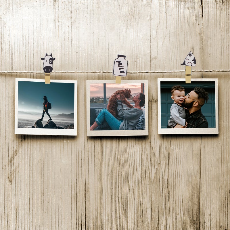 5 Packs Photo Clips Cow Themed Memos Fixed Clips with Hanging Rope - Image 2