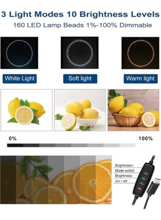 بولوز صندوق إضاءة استوديو الصور الاحترافي مقاس 16 بوصة × 16 بوصة، صندوق إضاءة محمول قابل للطي من PULUZ، طقم صندوق صور ثلاثي الألوان قابل للتعتيم مع 160 مصباح LED و6 خلفيات (12 لونًا) لتصوير المنتج - Image 3