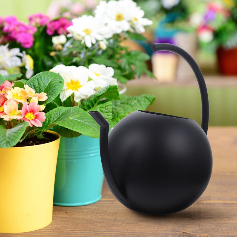 Stainless Steel Watering Can 1 Liter Black Long Spout for Succulents Indoor Outdoor Plants - Image 5