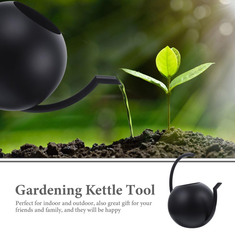 Stainless Steel Watering Can 1 Liter Black Long Spout for Succulents Indoor Outdoor Plants - Image 4